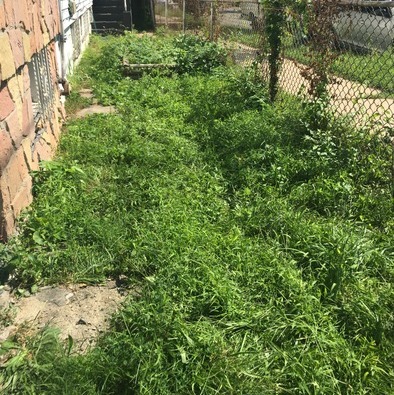 MJVD Landscaping & Cleaning Company