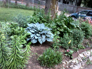 Ramos Family Landscaping