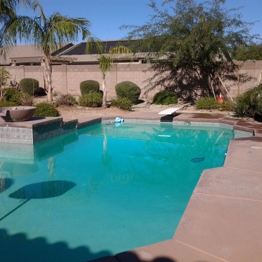 Desert Green Landscapes and Design