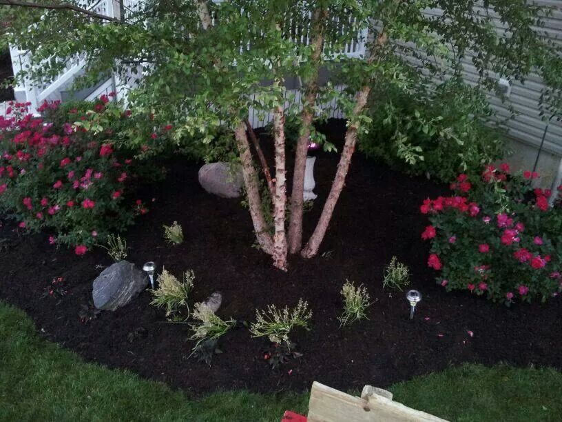 Landscaping Job