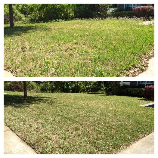 Lawn Care Pro: Full Service Lawn Care